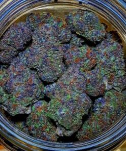 Amnesia Haze