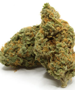 Blue Dream