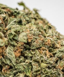Bruce Banner Marijuana Strain