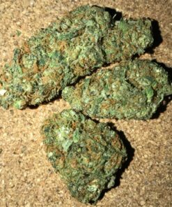 Bubble Gum