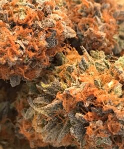 Cannatonic Marijuana Strain
