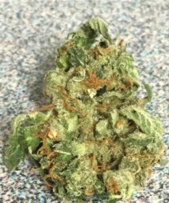 Casey Jones