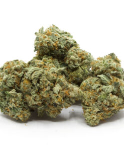Crazy Glue