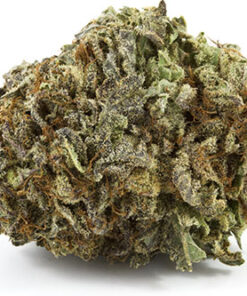 Darth Vader – Indica