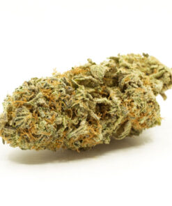 G3 Strain