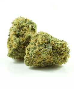 Grease Monkey