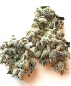 Herijuana