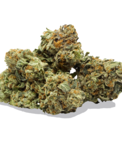Master Kush