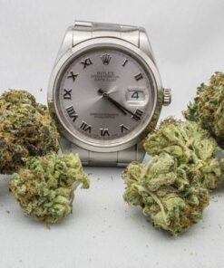 Rolex OG Indica
