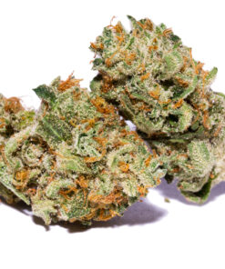 Strawberry Kush