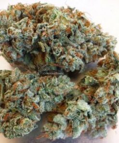Silver Haze