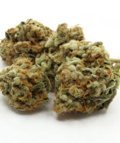 Slurricane Flower