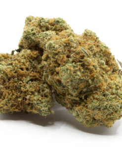 Violator Kush