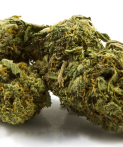White Widow