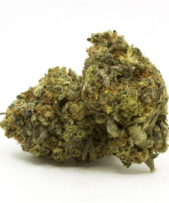Zeus OG