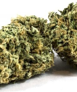Zombie Kush