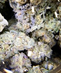 Grape Ape