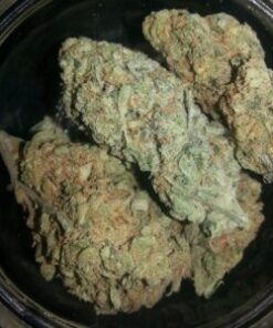 Obama Kush