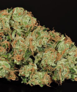 Buy Sour Diesel Online